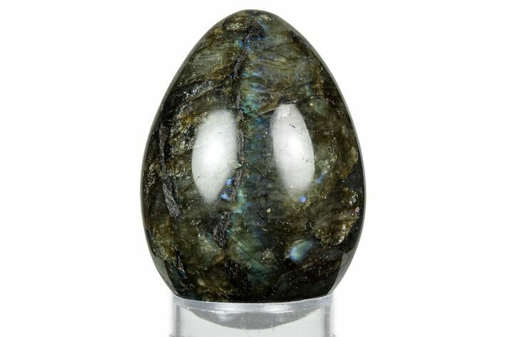Flashy, Polished Labradorite Egg - Madagascar #344321